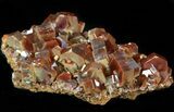 Lustrous Red Vanadinite Crystals on Matrix - Morocco #42210-2